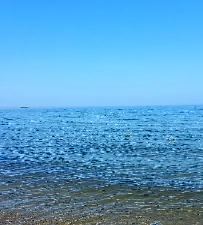 марсель